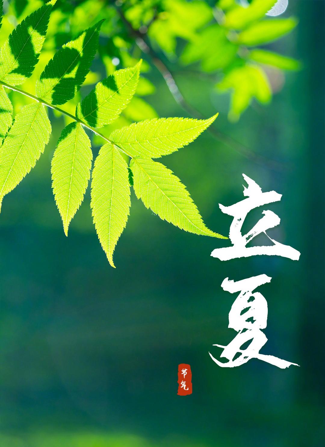 立夏养生正当时,居家按摩唤醒身心活力