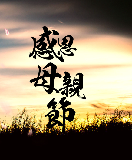富足到家:愿做你与母亲之间那份沉默却温暖的连接